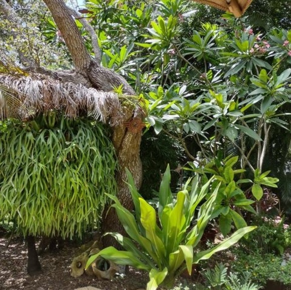 Meet your Posher, Diane - Picture 1 of 1